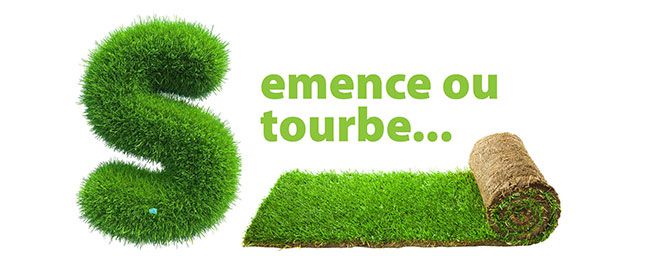 Semence ou tourbe? Bannière semence ou tourbe